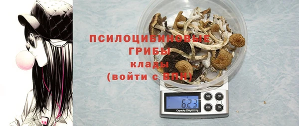 прущие крисы Алзамай