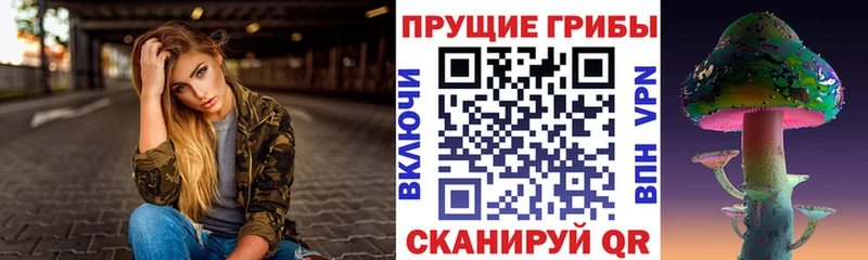 Псилоцибиновые грибы MAGIC MUSHROOMS  Черкесск 
